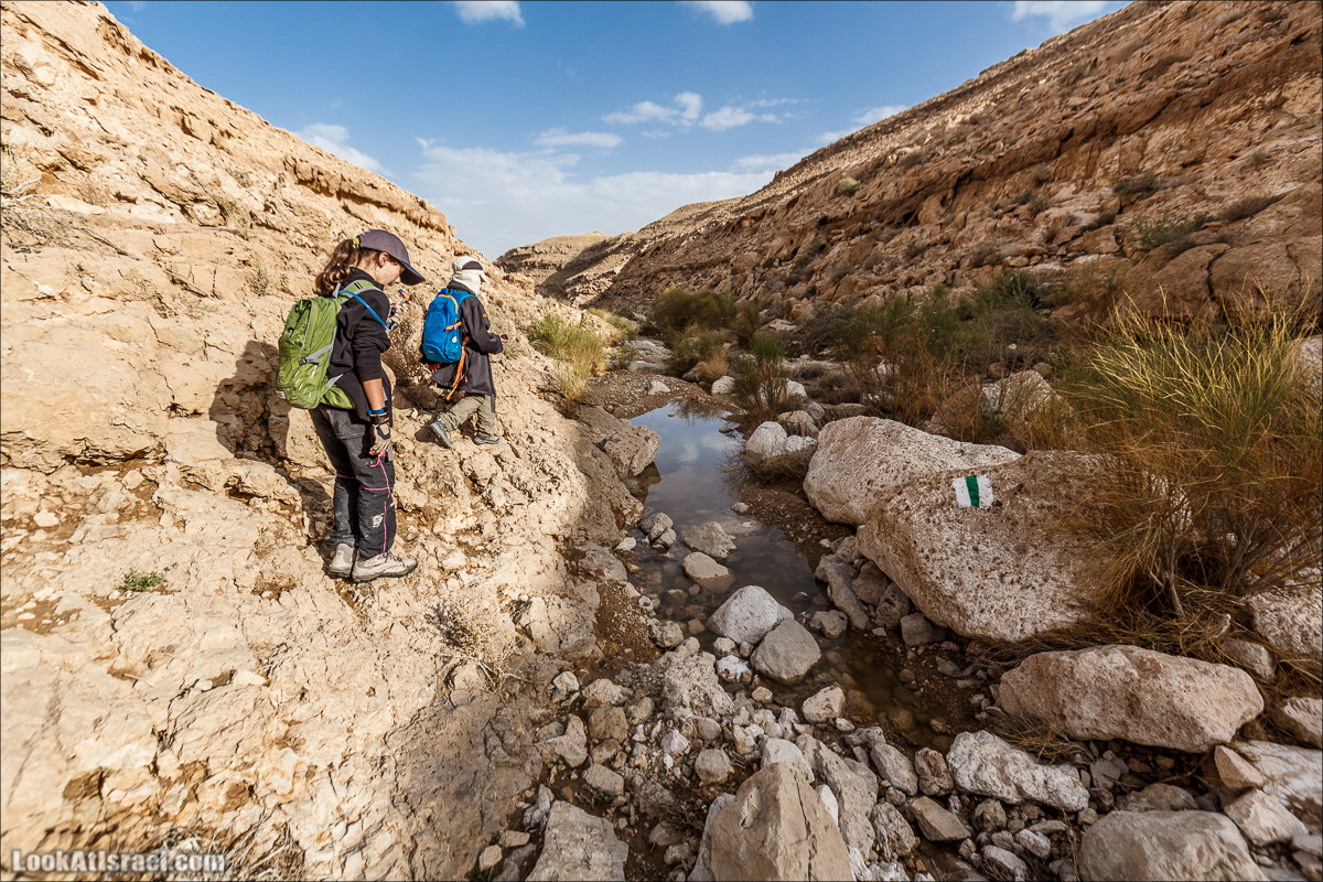 Махтеш Катан (Малый), Маале Хацера и ручей Нахаль Мазар | מכתש קטן, מעלה חצרה ונחל מזר | LookAtIsrael.com - Фото путешествия по Израилю
