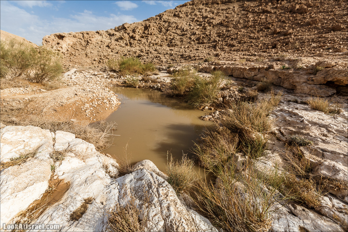 Махтеш Катан (Малый), Маале Хацера и ручей Нахаль Мазар | מכתש קטן, מעלה חצרה ונחל מזר | LookAtIsrael.com - Фото путешествия по Израилю