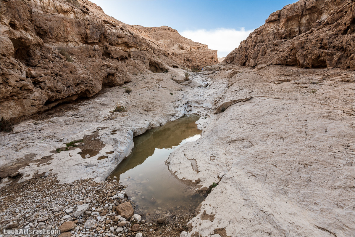 Махтеш Катан (Малый), Маале Хацера и ручей Нахаль Мазар | מכתש קטן, מעלה חצרה ונחל מזר | LookAtIsrael.com - Фото путешествия по Израилю