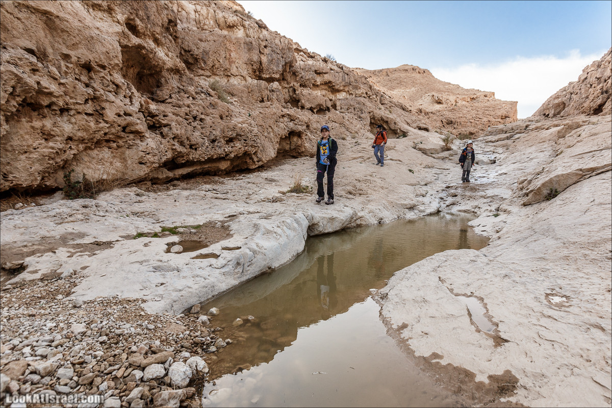 Махтеш Катан (Малый), Маале Хацера и ручей Нахаль Мазар | מכתש קטן, מעלה חצרה ונחל מזר | LookAtIsrael.com - Фото путешествия по Израилю