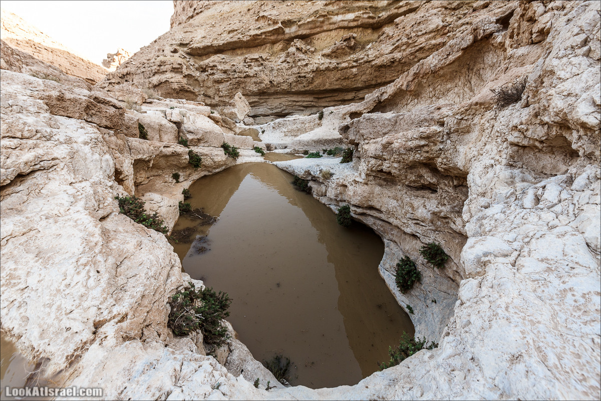 Махтеш Катан (Малый), Маале Хацера и ручей Нахаль Мазар | מכתש קטן, מעלה חצרה ונחל מזר | LookAtIsrael.com - Фото путешествия по Израилю
