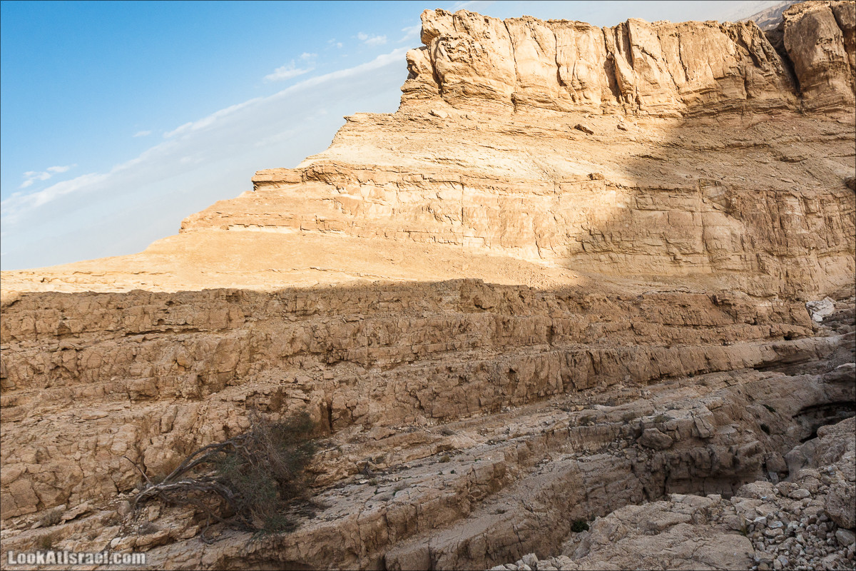 Махтеш Катан (Малый), Маале Хацера и ручей Нахаль Мазар | מכתש קטן, מעלה חצרה ונחל מזר | LookAtIsrael.com - Фото путешествия по Израилю