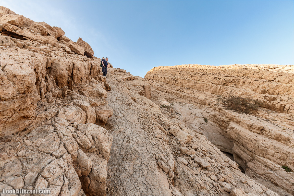 Махтеш Катан (Малый), Маале Хацера и ручей Нахаль Мазар | מכתש קטן, מעלה חצרה ונחל מזר | LookAtIsrael.com - Фото путешествия по Израилю