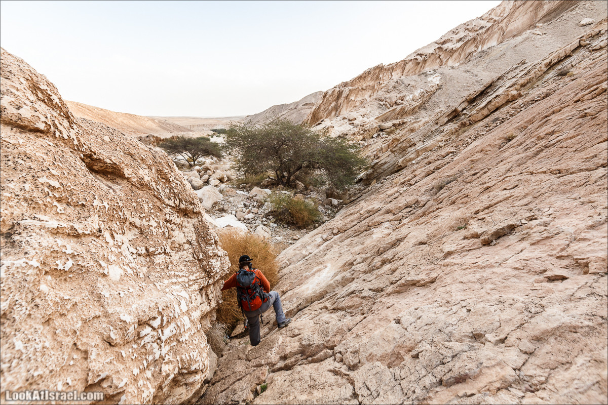 Махтеш Катан (Малый), Маале Хацера и ручей Нахаль Мазар | מכתש קטן, מעלה חצרה ונחל מזר | LookAtIsrael.com - Фото путешествия по Израилю