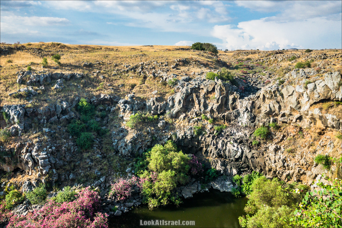 Водопады Голанских высот | LookAtIsrael.com - Фото путешествия по Израилю