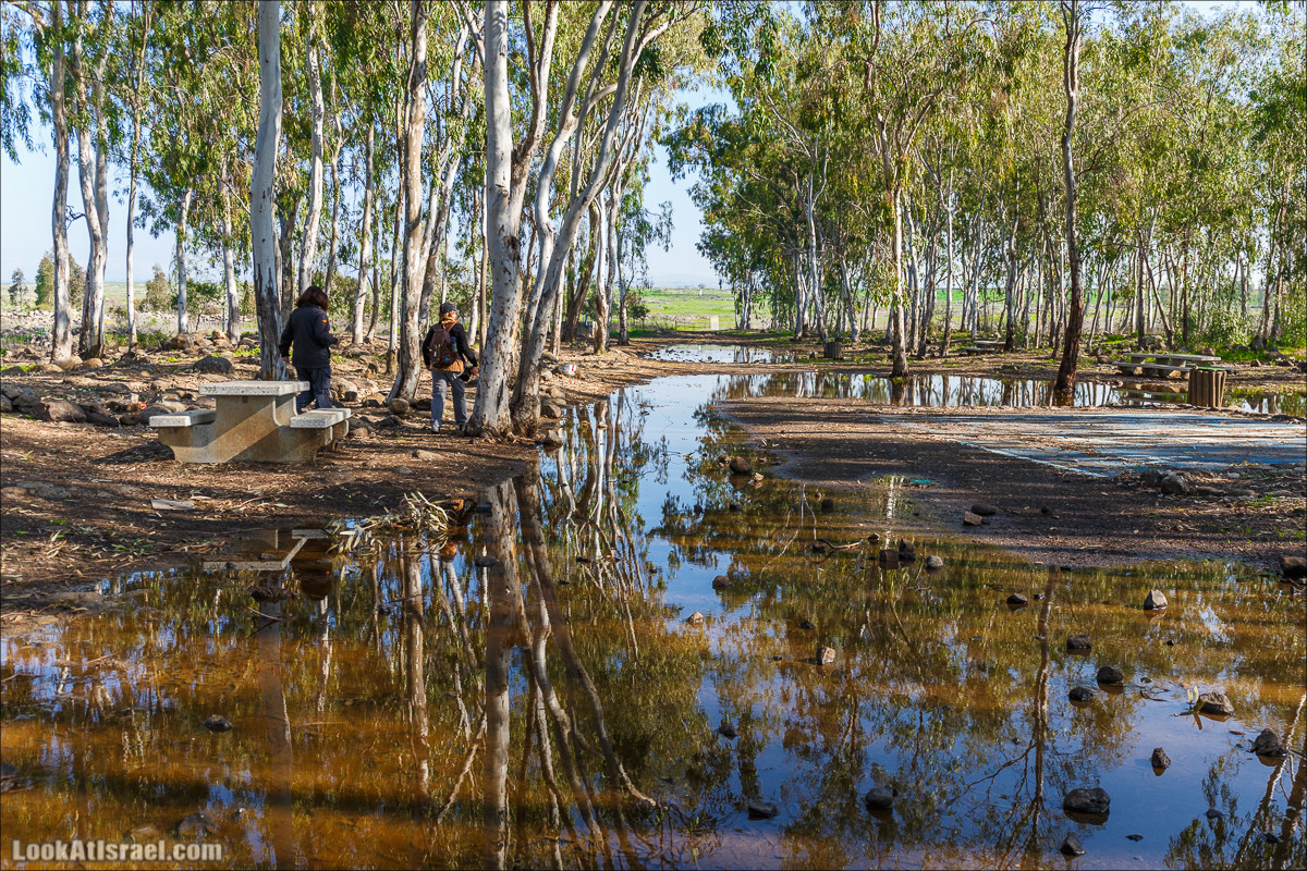 Водопады Голанских высот | LookAtIsrael.com - Фото путешествия по Израилю