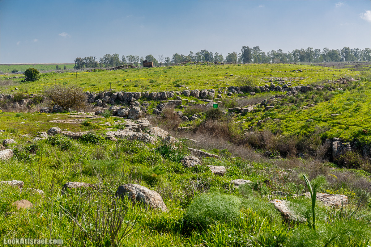 Водопады Голанских высот | LookAtIsrael.com - Фото путешествия по Израилю
