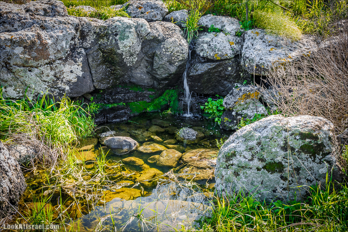 Водопады Голанских высот | LookAtIsrael.com - Фото путешествия по Израилю