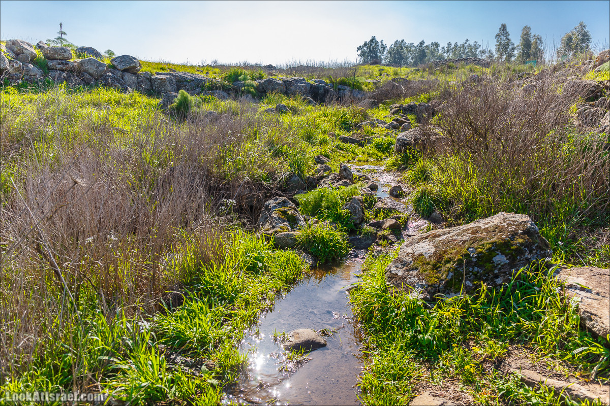 Водопады Голанских высот | LookAtIsrael.com - Фото путешествия по Израилю
