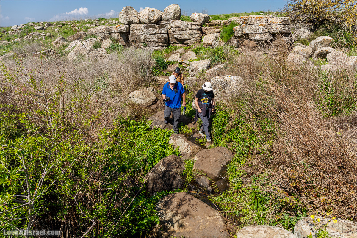 Водопады Голанских высот | LookAtIsrael.com - Фото путешествия по Израилю