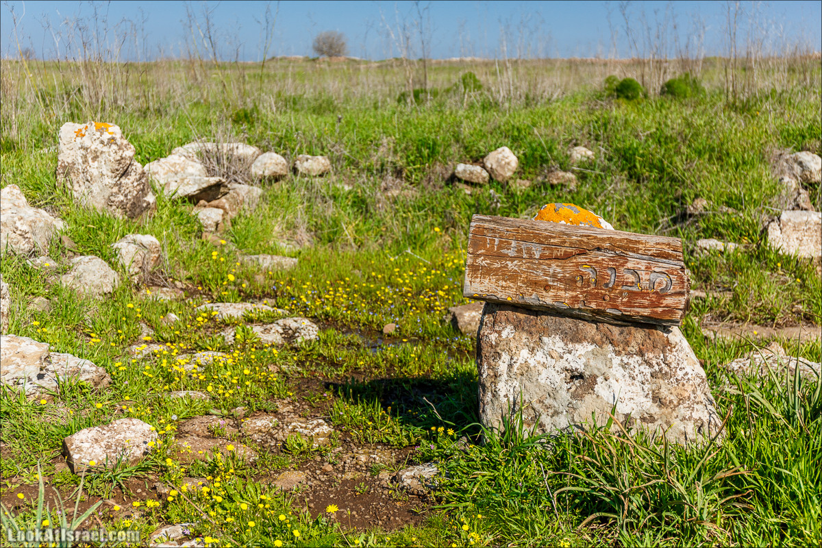 Водопады Голанских высот | LookAtIsrael.com - Фото путешествия по Израилю