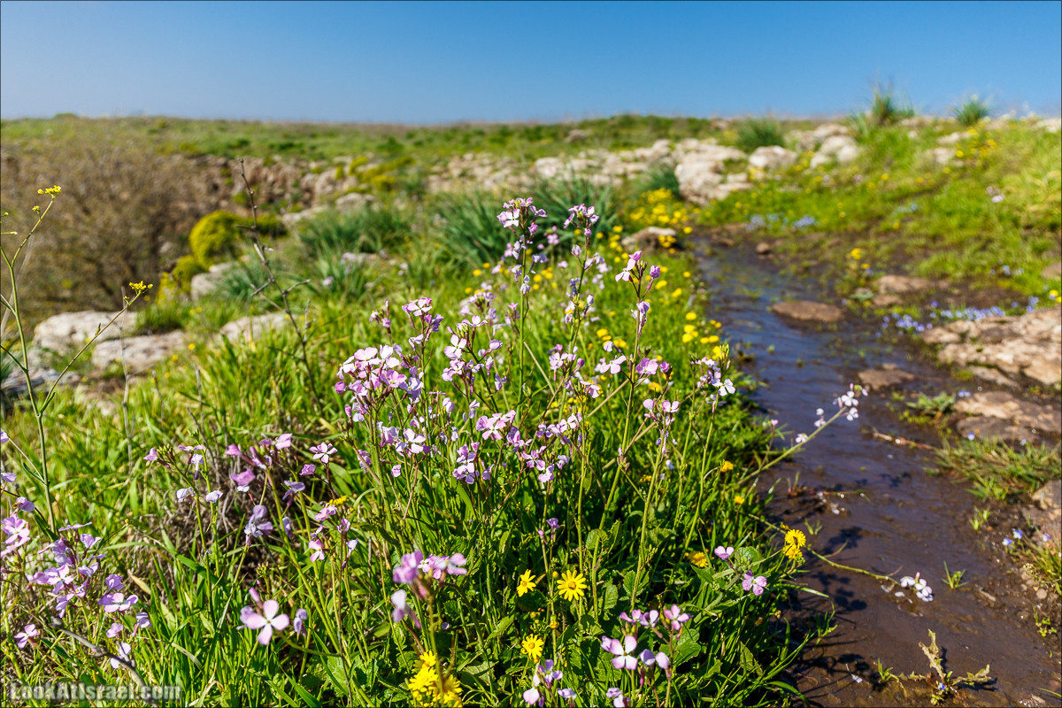 Водопады Голанских высот | LookAtIsrael.com - Фото путешествия по Израилю