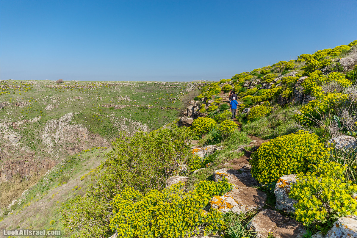 Водопады Голанских высот | LookAtIsrael.com - Фото путешествия по Израилю