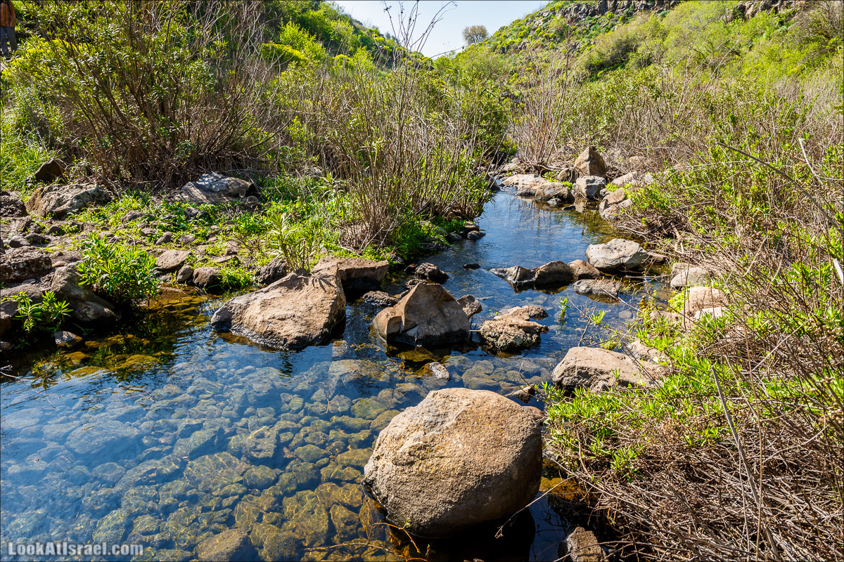 Водопады Голанских высот | LookAtIsrael.com - Фото путешествия по Израилю