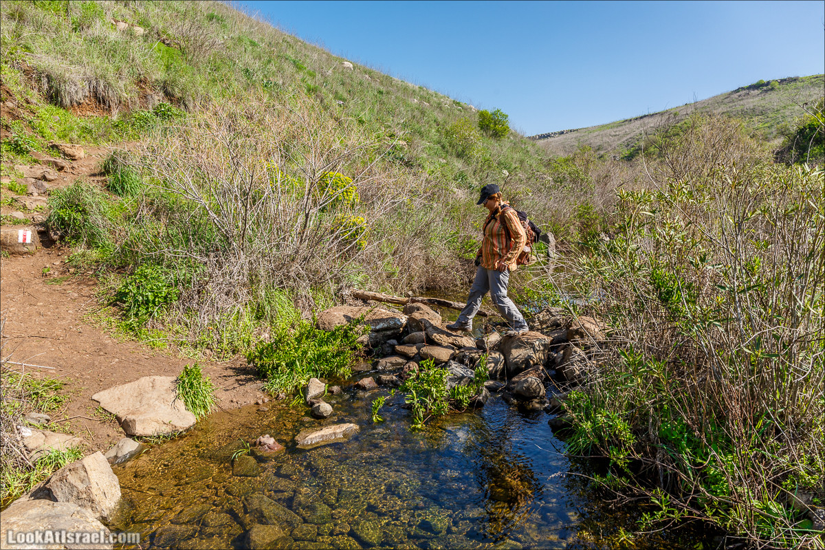 Водопады Голанских высот | LookAtIsrael.com - Фото путешествия по Израилю