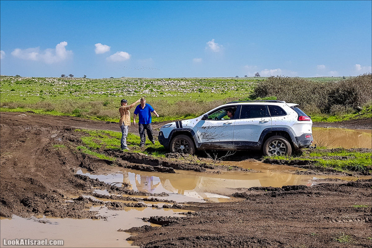 Водопады Голанских высот | LookAtIsrael.com - Фото путешествия по Израилю