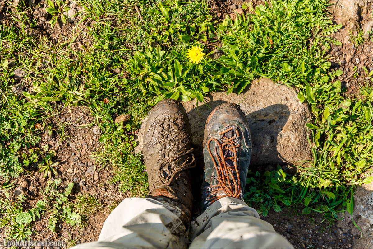 Водопады Голанских высот | LookAtIsrael.com - Фото путешествия по Израилю