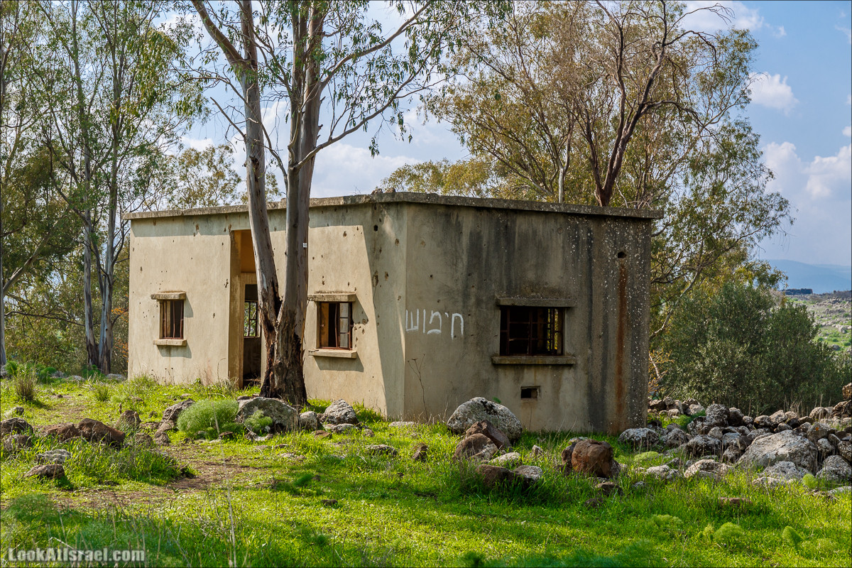 Водопады Голанских высот | LookAtIsrael.com - Фото путешествия по Израилю