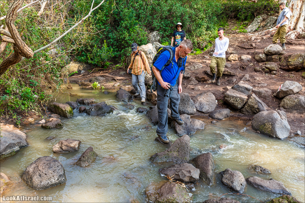 Водопады Голанских высот | LookAtIsrael.com - Фото путешествия по Израилю