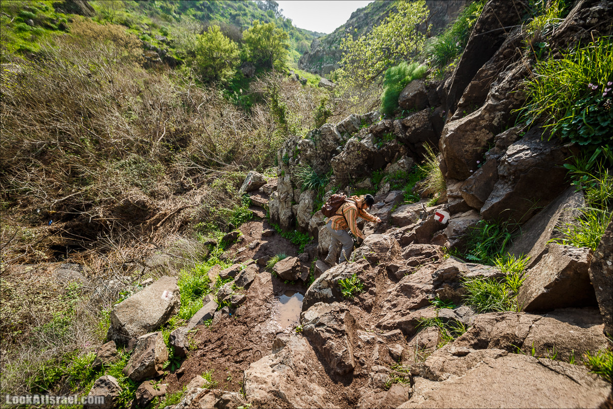 Водопады Голанских высот | LookAtIsrael.com - Фото путешествия по Израилю
