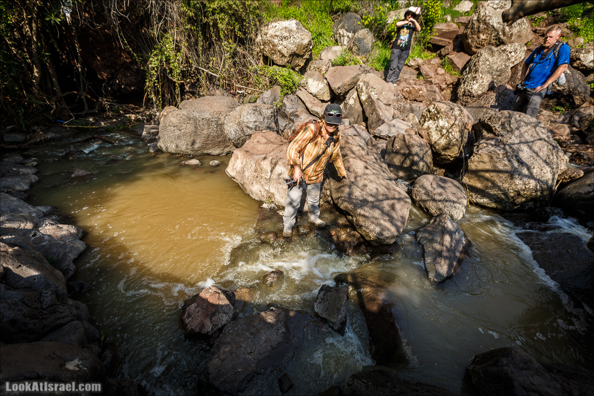 Водопады Голанских высот | LookAtIsrael.com - Фото путешествия по Израилю