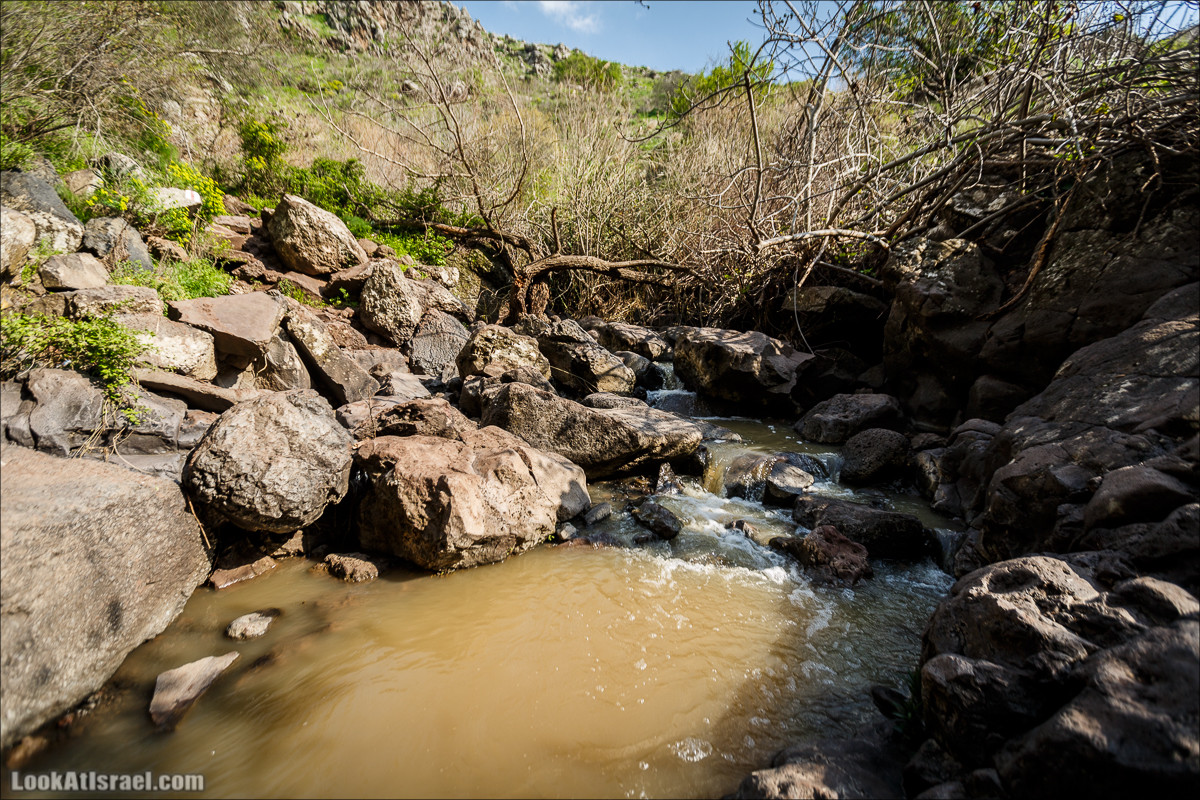 Водопады Голанских высот | LookAtIsrael.com - Фото путешествия по Израилю