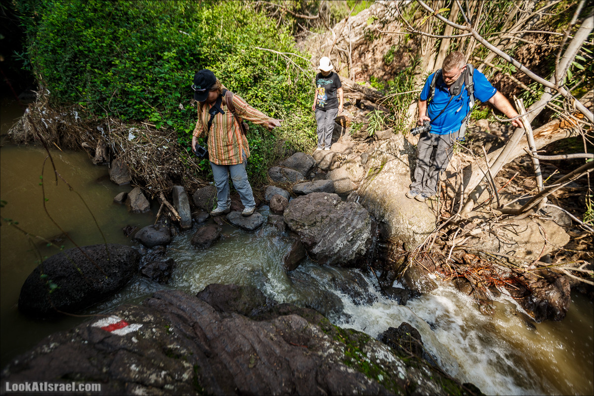 Водопады Голанских высот | LookAtIsrael.com - Фото путешествия по Израилю