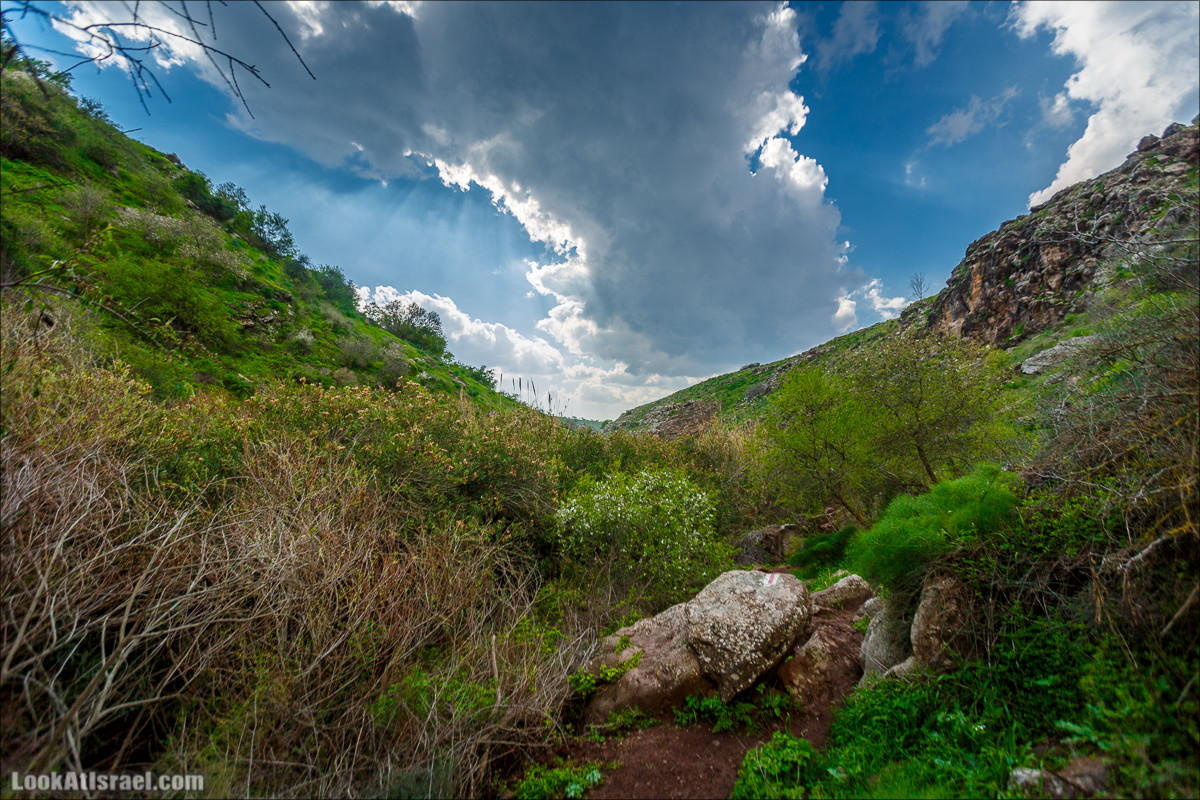 Водопады Голанских высот | LookAtIsrael.com - Фото путешествия по Израилю
