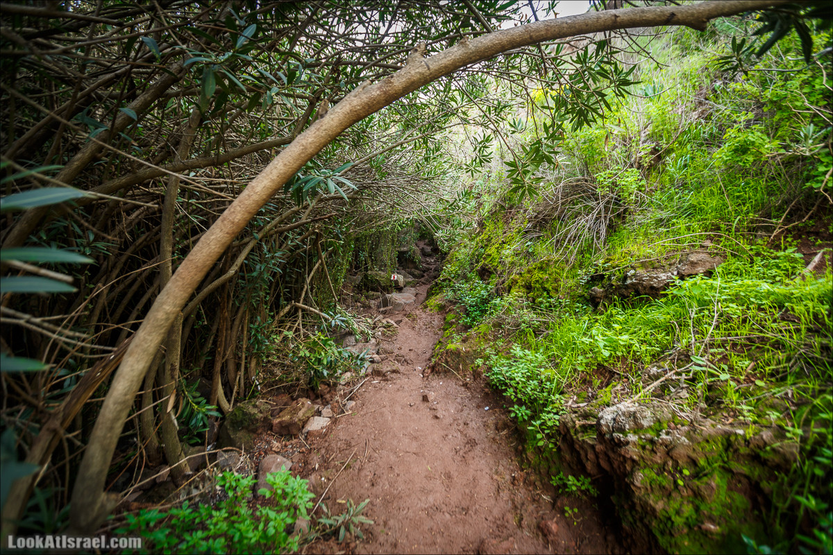 Водопады Голанских высот | LookAtIsrael.com - Фото путешествия по Израилю