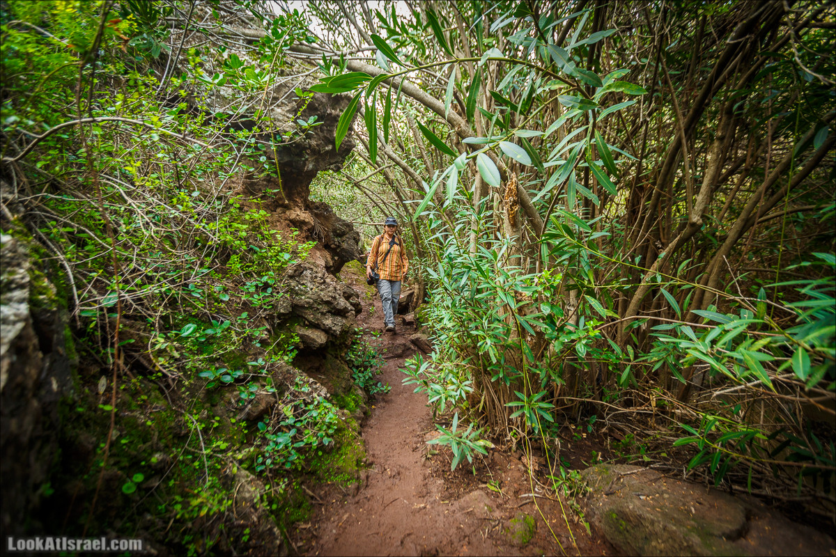 Водопады Голанских высот | LookAtIsrael.com - Фото путешествия по Израилю