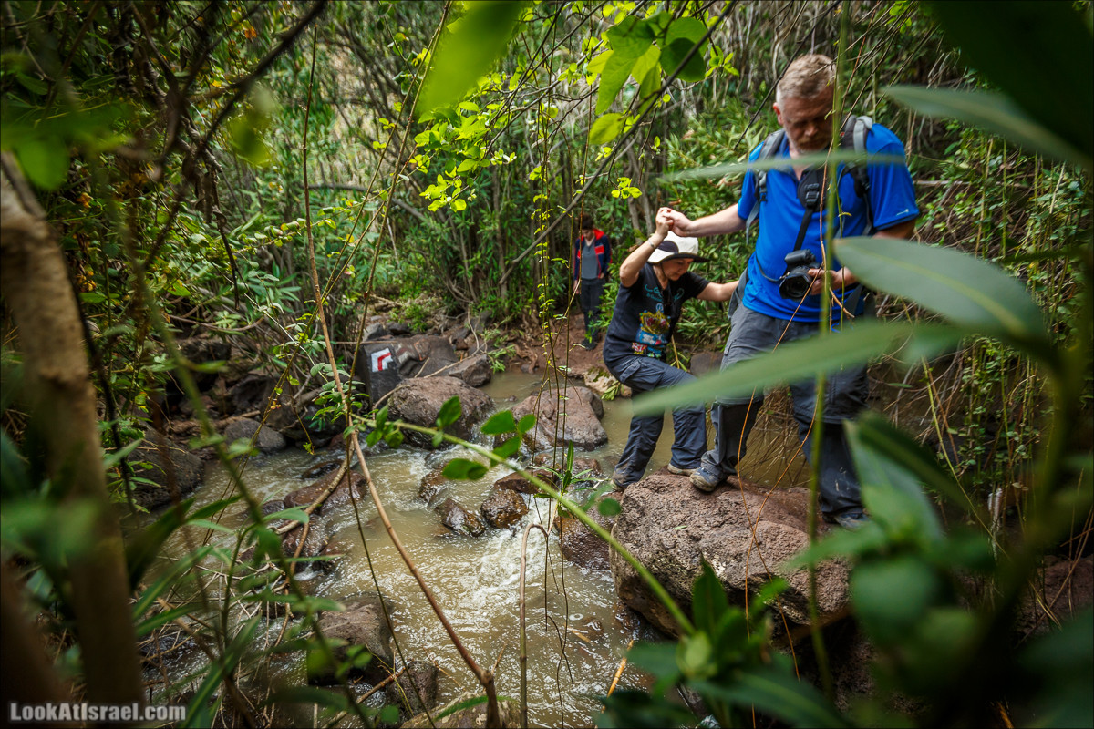 Водопады Голанских высот | LookAtIsrael.com - Фото путешествия по Израилю