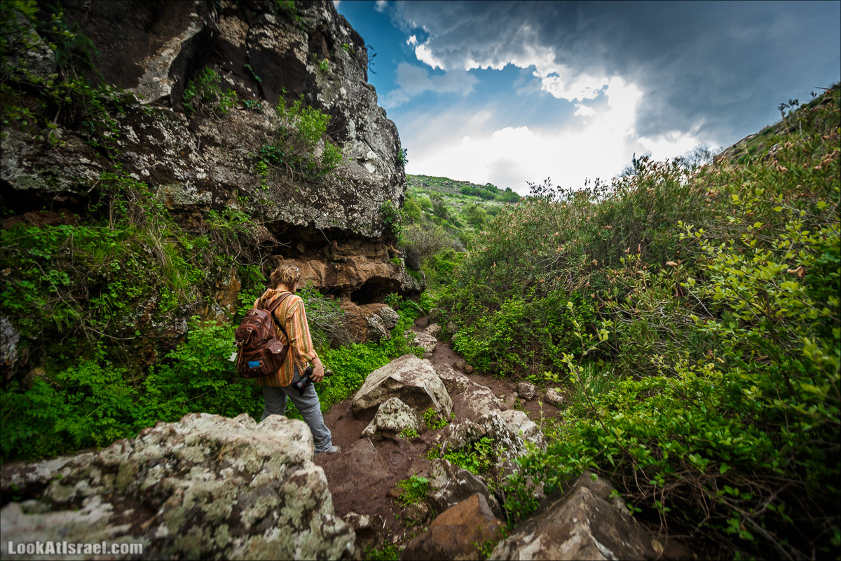 Водопады Голанских высот | LookAtIsrael.com - Фото путешествия по Израилю