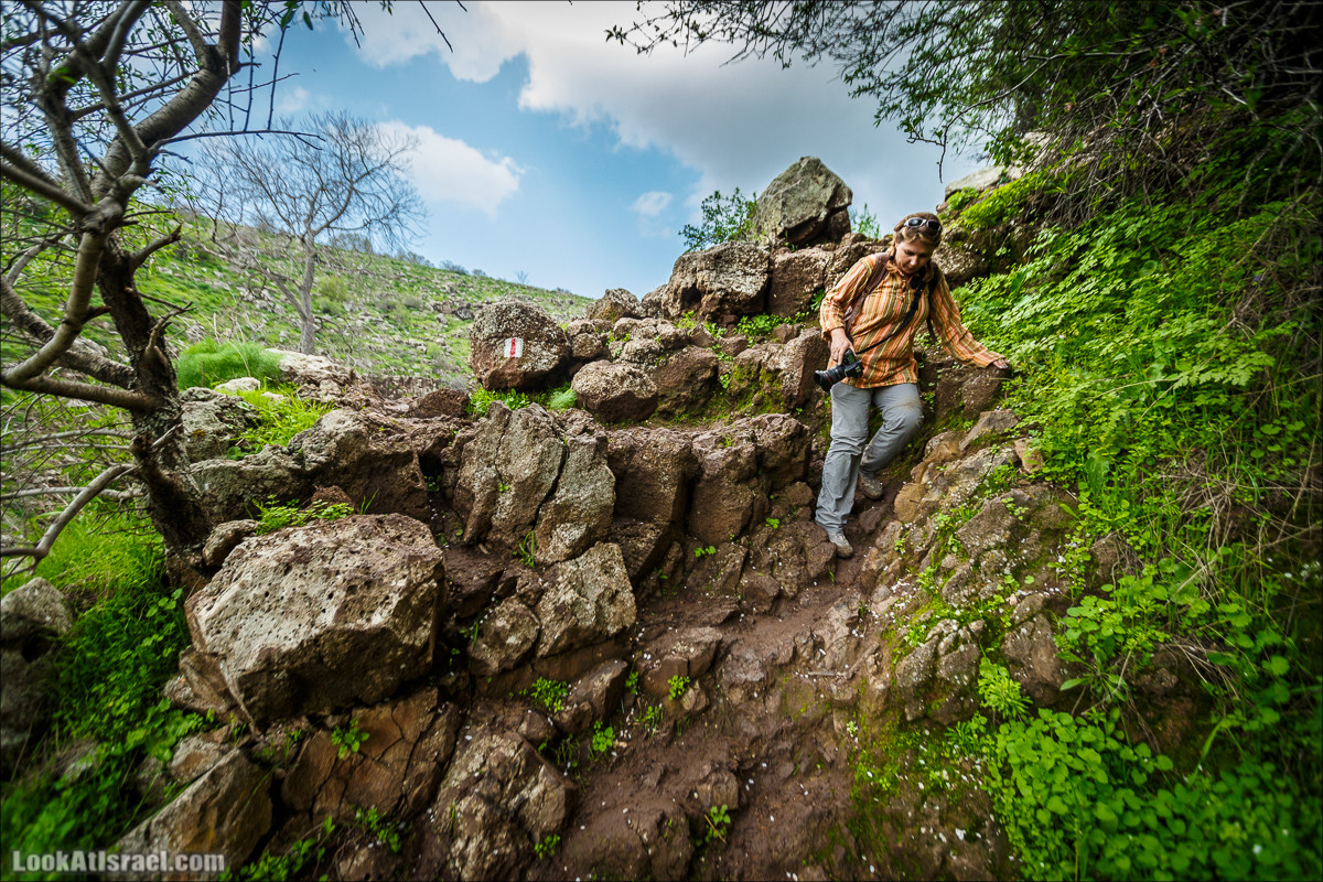 Водопады Голанских высот | LookAtIsrael.com - Фото путешествия по Израилю