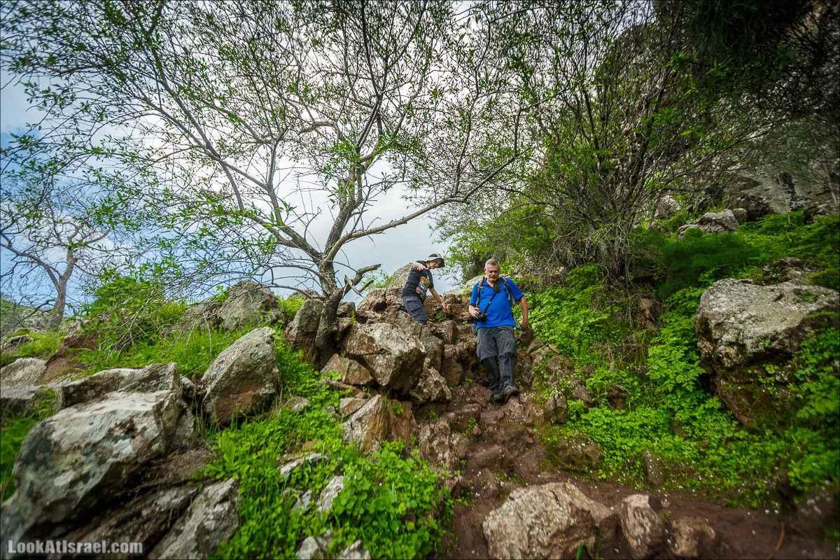Водопады Голанских высот | LookAtIsrael.com - Фото путешествия по Израилю