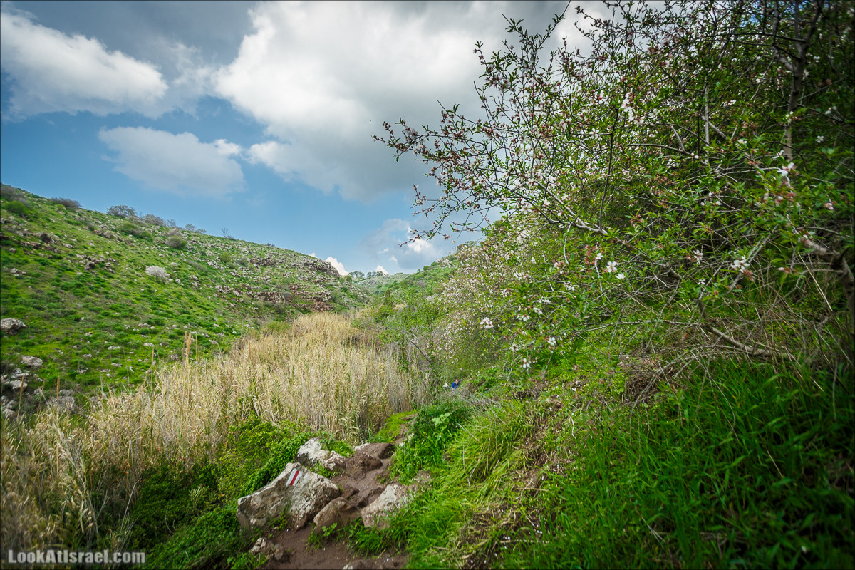 Водопады Голанских высот | LookAtIsrael.com - Фото путешествия по Израилю