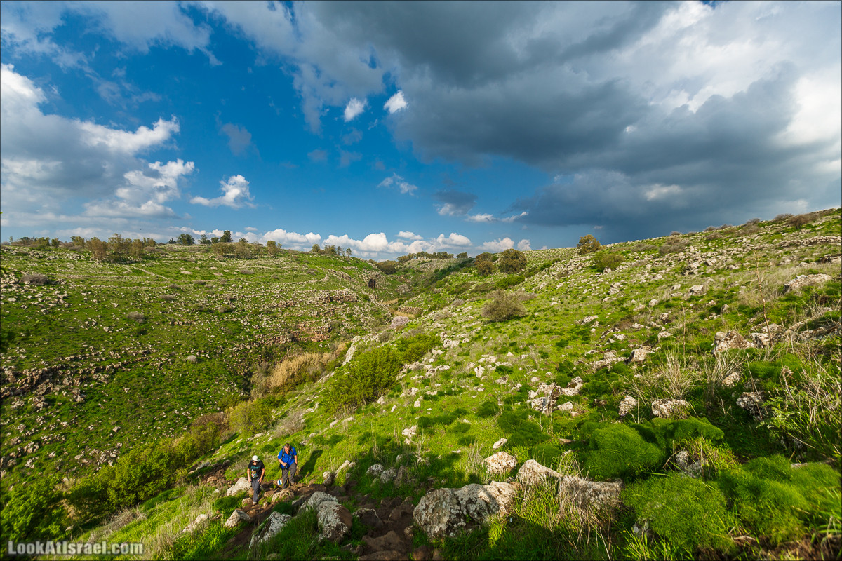 Водопады Голанских высот | LookAtIsrael.com - Фото путешествия по Израилю