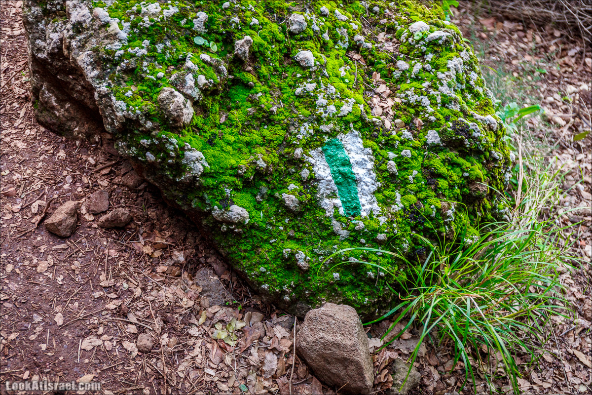 Водопады Голанских высот | LookAtIsrael.com - Фото путешествия по Израилю