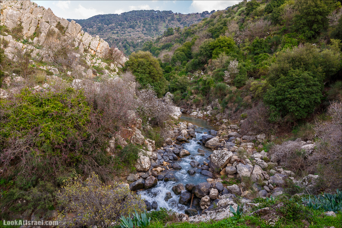 Водопады Голанских высот | LookAtIsrael.com - Фото путешествия по Израилю