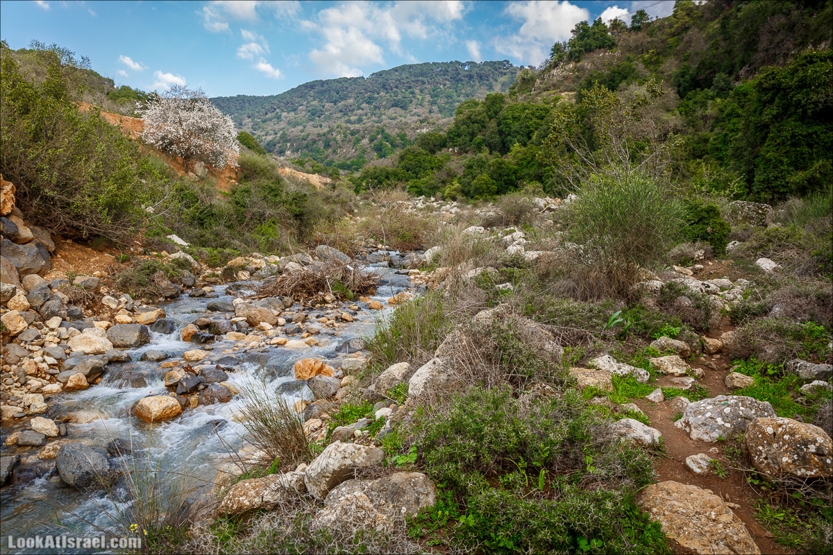 Водопады Голанских высот | LookAtIsrael.com - Фото путешествия по Израилю