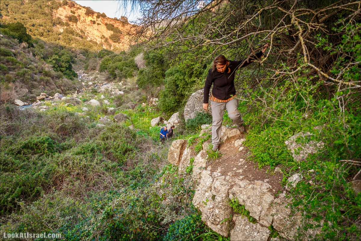 Водопады Голанских высот | LookAtIsrael.com - Фото путешествия по Израилю