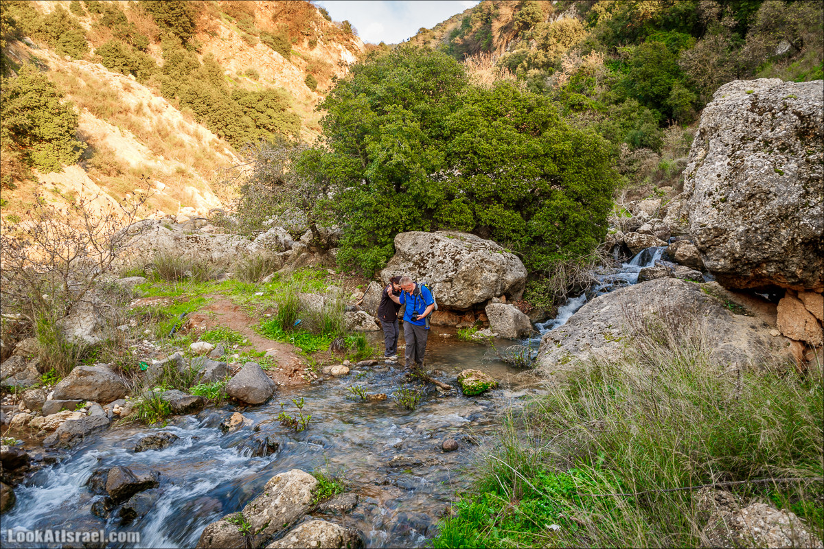 Водопады Голанских высот | LookAtIsrael.com - Фото путешествия по Израилю