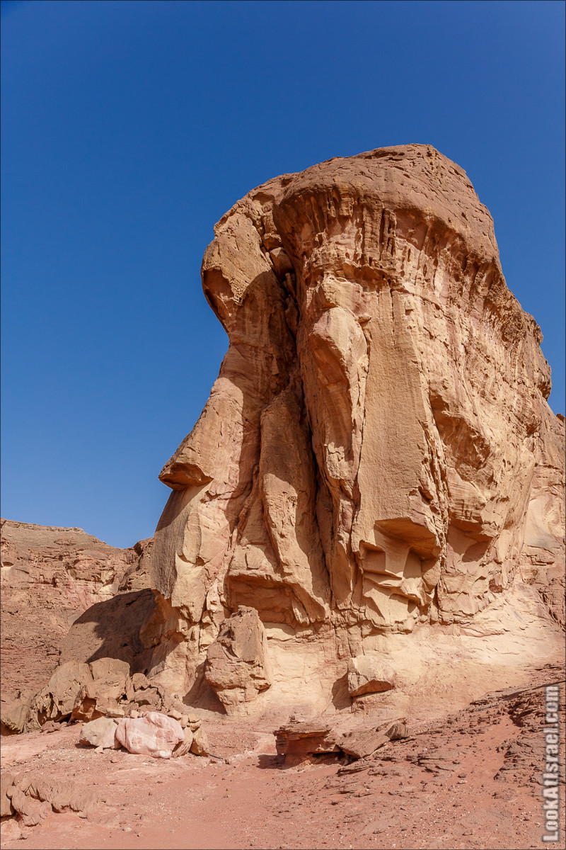 Хайкинг по тропе каньонов, дюна, ущелья и горы в долине Тимна | LookAtIsrael.com - Фото путешествия по Израилю