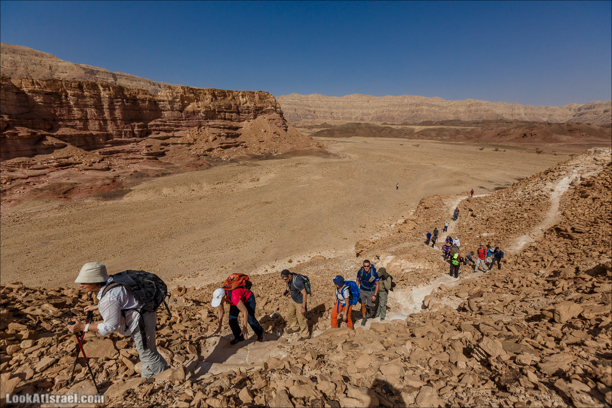 Хайкинг по тропе каньонов, дюна, ущелья и горы в долине Тимна | LookAtIsrael.com - Фото путешествия по Израилю