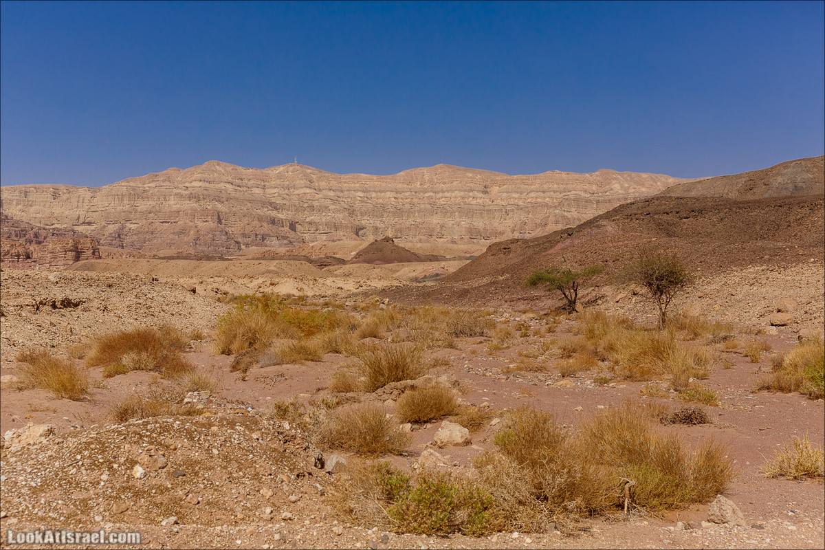 Хайкинг по тропе каньонов, дюна, ущелья и горы в долине Тимна | LookAtIsrael.com - Фото путешествия по Израилю
