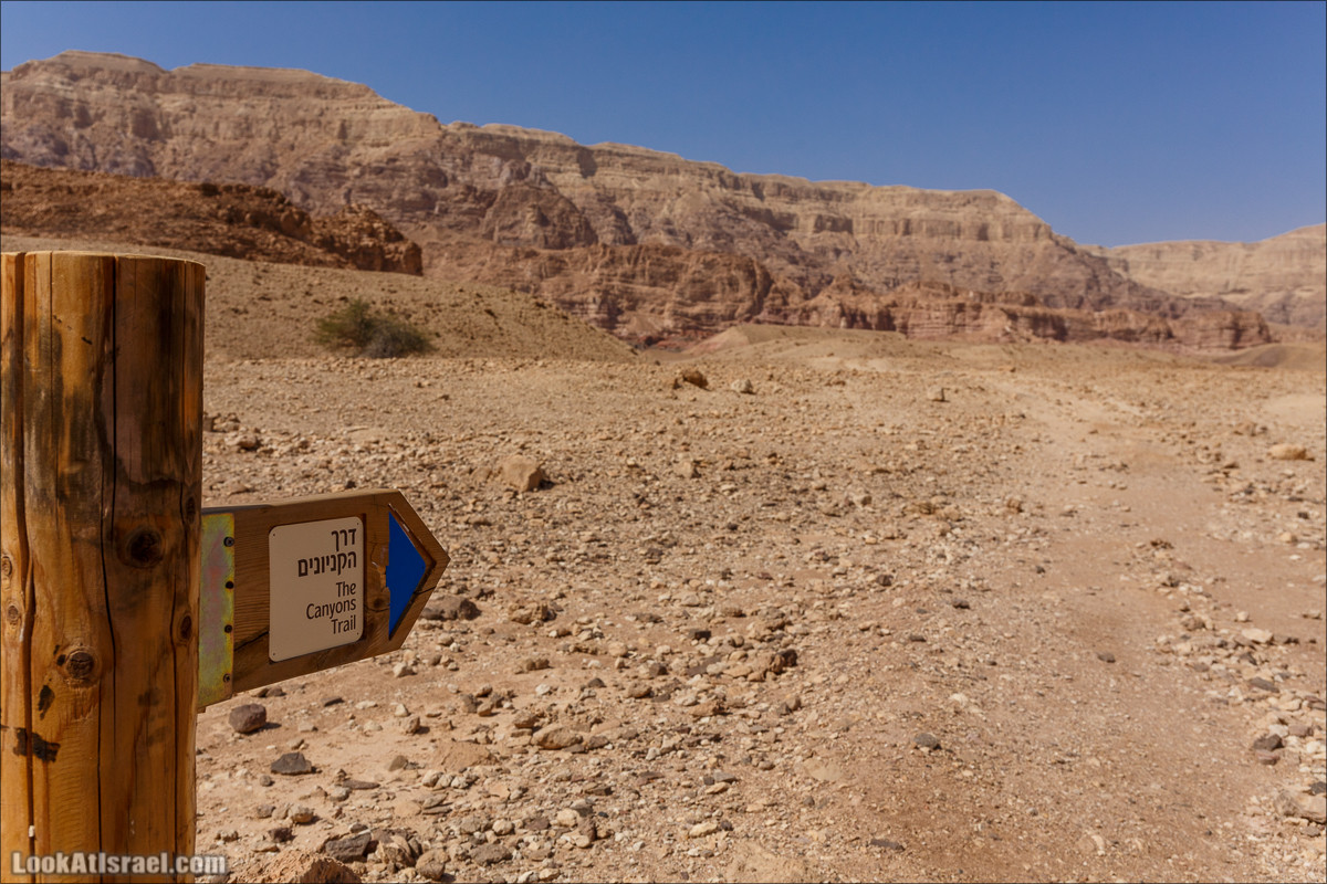 Хайкинг по тропе каньонов, дюна, ущелья и горы в долине Тимна | LookAtIsrael.com - Фото путешествия по Израилю