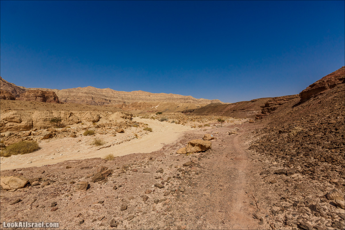 Хайкинг по тропе каньонов, дюна, ущелья и горы в долине Тимна | LookAtIsrael.com - Фото путешествия по Израилю
