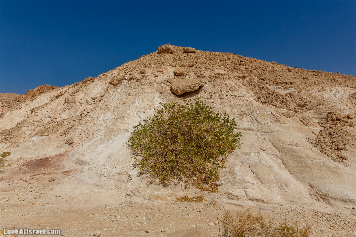 Хайкинг по тропе каньонов, дюна, ущелья и горы в долине Тимна | LookAtIsrael.com - Фото путешествия по Израилю