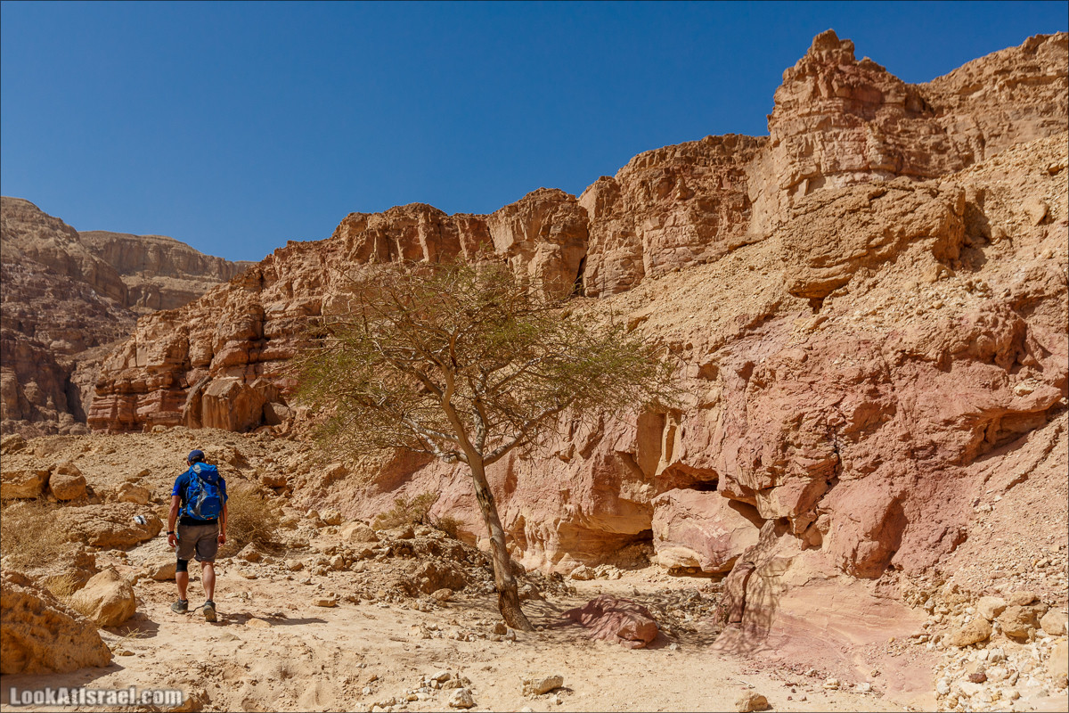 Хайкинг по тропе каньонов, дюна, ущелья и горы в долине Тимна | LookAtIsrael.com - Фото путешествия по Израилю