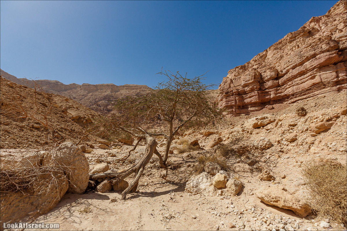Хайкинг по тропе каньонов, дюна, ущелья и горы в долине Тимна | LookAtIsrael.com - Фото путешествия по Израилю