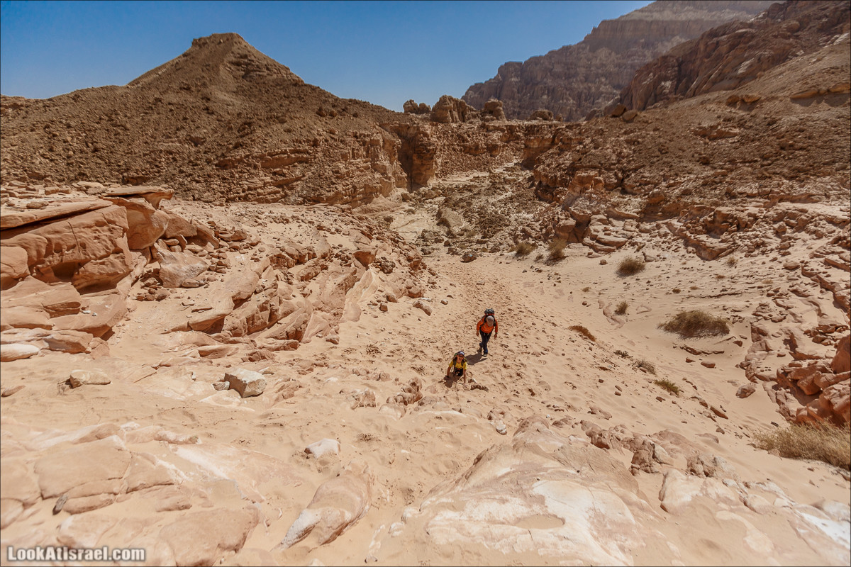 Хайкинг по тропе каньонов, дюна, ущелья и горы в долине Тимна | LookAtIsrael.com - Фото путешествия по Израилю